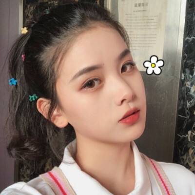 口袋修仙破解版下载